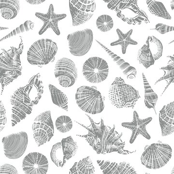 Sea shells vector seamless pattern. Realistic hand drawn marine background with nature ocean aquatic mollusk shell