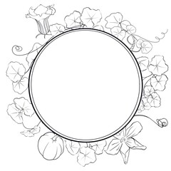 Round frame of Esolited Elements of pumpkin leaves and flowers on white background 