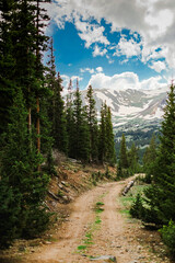 Colorado trail among the pine tree forest. Hiking and off road trail near the mountains. Summer outdoor activities.
