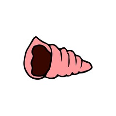 Spiral colored sea shell drawn by hand in doodle style. Shell Line Icon On White Background. Coloring.