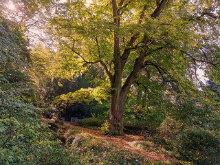 Fototapeta premium Berggarten