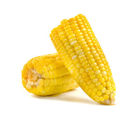 sweet corn isolated on white background