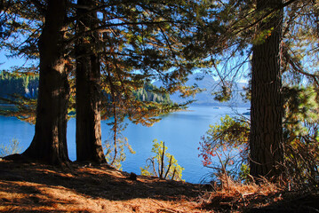 Panoramic view in the middle of the forest of a mountain lake in Argentina
