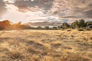 Obraz premium Sunset in the countryside among dry grass