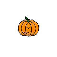 Pumpkin isolated on a white background. Engraved illustration
