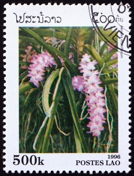Postage stamp Laos 1996 multi-flowered aerides, orchid