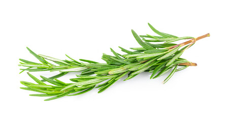 Fototapeta premium Rosemary isolated on white background