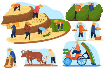 Asian farm rice fields vector illustration set. Cartoon flat farmer people and buffalo animal work on terrace agricultural rice plantations, farming, harvesting. Agriculture in Asia isolated on white