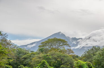 tropical misty mountain landscape with fog and clouds