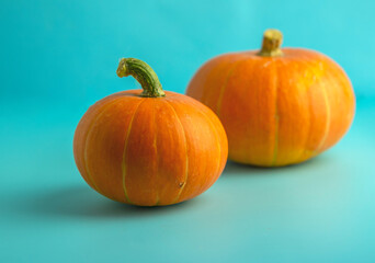 beautiful orange pumpkins on a blue background.