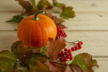 orange small pumpkin on light boards with viburnum leaves and berries. decoration for halloween