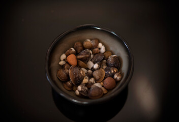 Mini shells gathered from the beach in a little plate on the dark background.