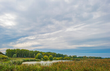 The edge of a lake in a green grassy field in sunlight under a blue cloudy sky in autumn, Almere, Flevoland, The Netherlands, September 27, 2020