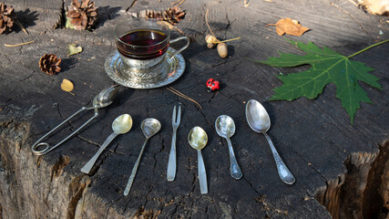 A variety of cutlery - old silver and gilded spoons, a fork and tongs for tea, as well as a cup of strong tea in a cup holder of Melchior   stand on an old dark cracked stump in the birch forest . 
