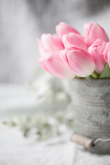 Original shabby chic style still life photograph of a galvanized bucket filled with pink tulips against gray and white