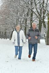 Happy senior couple walking at snowy winter park