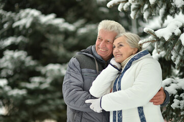 Happy senior couple hugging at snowy winter park