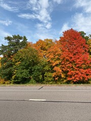 Minnesota Scenic Autumn Landscape
