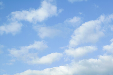 Obraz premium 青空