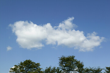 Obraz premium 青空