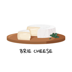 Brie cheese on a wooden tray vector illustration. Realistic food image isolated on white background.