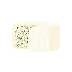 Blue cheese isolated on white background. Roquefort cheese vector illustration.