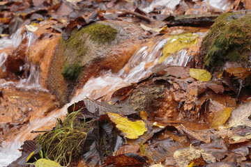 The waterfall of the David's mill.