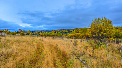 Fototapeta premium Panoramic autumnal rural landscape - outback village among colorful dense forest and meadow with golden dry grass. Woodland with green coniferous and multi colored deciduous trees. Beauty of fall