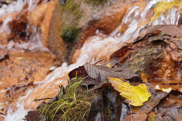 The waterfall of the David's mill.