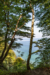 Kreidefelsen Møns Klint, Dänemark
