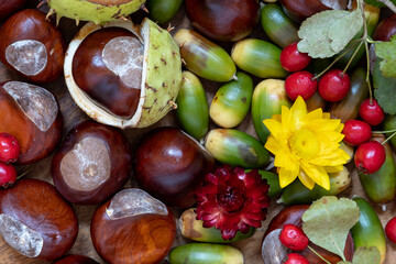 Bright and colourful natural autumn decorations including acorns, horse chestnuts, hawthorn berries, and dried flowers.