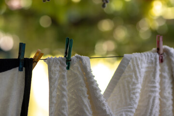 Lingerie hangs on a rope with clothespins against a background of green vine leaves. Close-up with blurred background.