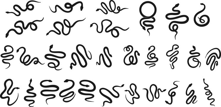 big set of vector Snake silhouettes on white background
