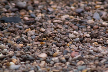 pebbles