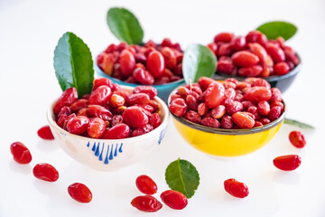 red cranberry fruit collected from natural mountains