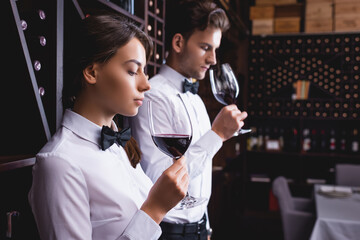 Selective focus of sommeliers smelling wine in glasses in restaurant - obrazy, fototapety, plakaty