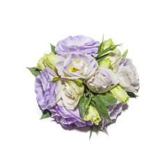Eustoma flowers on white background