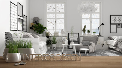 Wooden table, desk or shelf with potted grass plant, house keys and 3D letters making the words interior design, over scandinavian living room, project concept copy space background