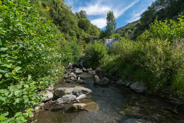Fototapeta na wymiar abundant vegetation in a river in southern Spain