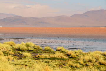 Obraz premium Laguna colorada