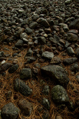 pebbles on the beach