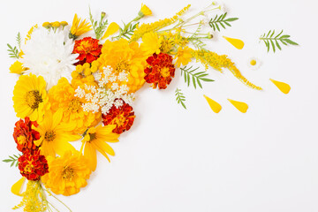 Obraz premium yellow and orange flowers on white background