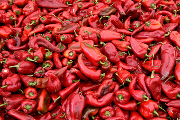 Fresh raw organic Turkish hot red peppers or Aleppo peppers in a farmers produce market in...