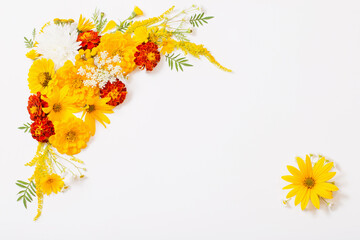 yellow and orange flowers on white background