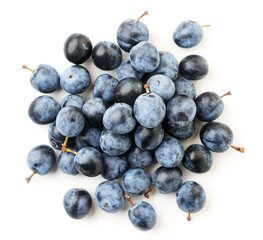Heap of blackthorn berries on a white background. Isolated