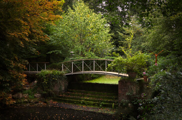 Fototapeta na wymiar curved bridge over water in autumn