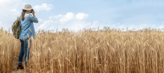 Asian young woman with backpack taking a photo in barley field on summer. Travel and Vacation concept.