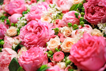 background colored flowers with blur