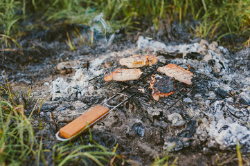 Meat on a wire rack over a fire. Picnic in nature.