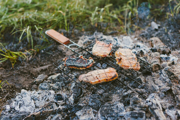 Meat on a wire rack over a fire. Picnic in nature.